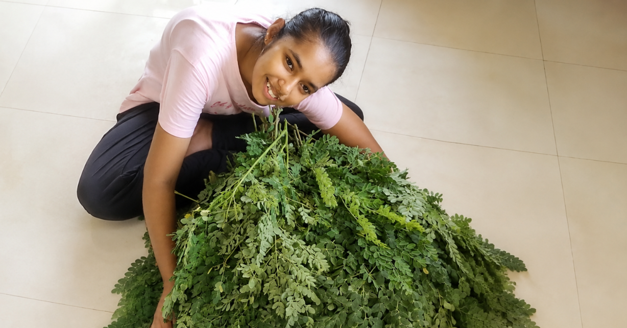 Une adolescente transforme les arbres de moringa en entreprise florissante